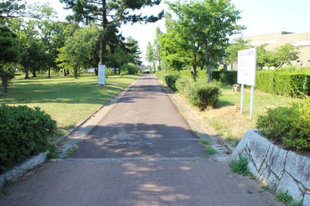 自転車で走る